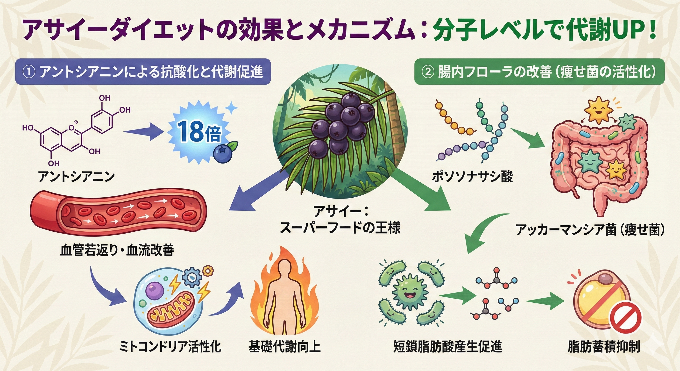 アサイーの栄養成分
