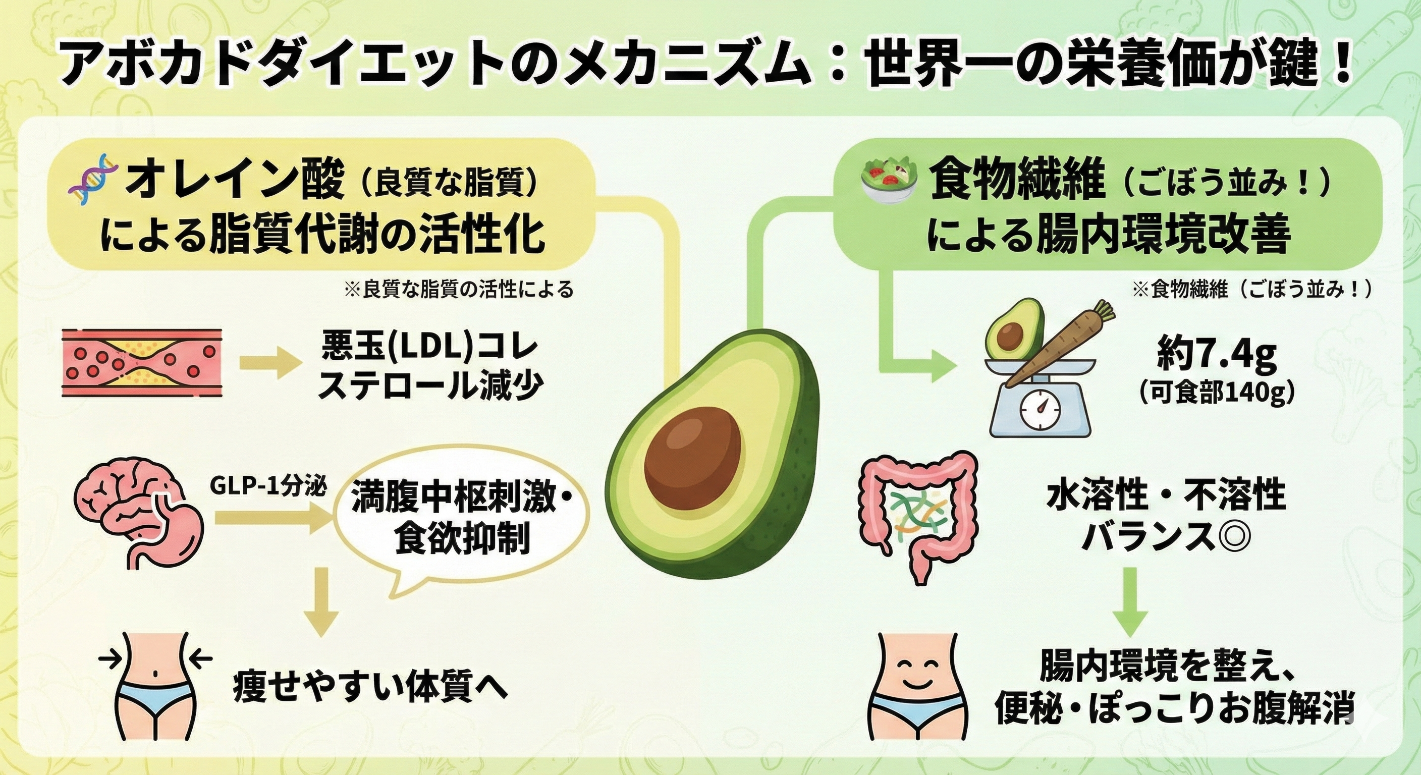 アボカドの栄養成分と体内への作用メカニズム
