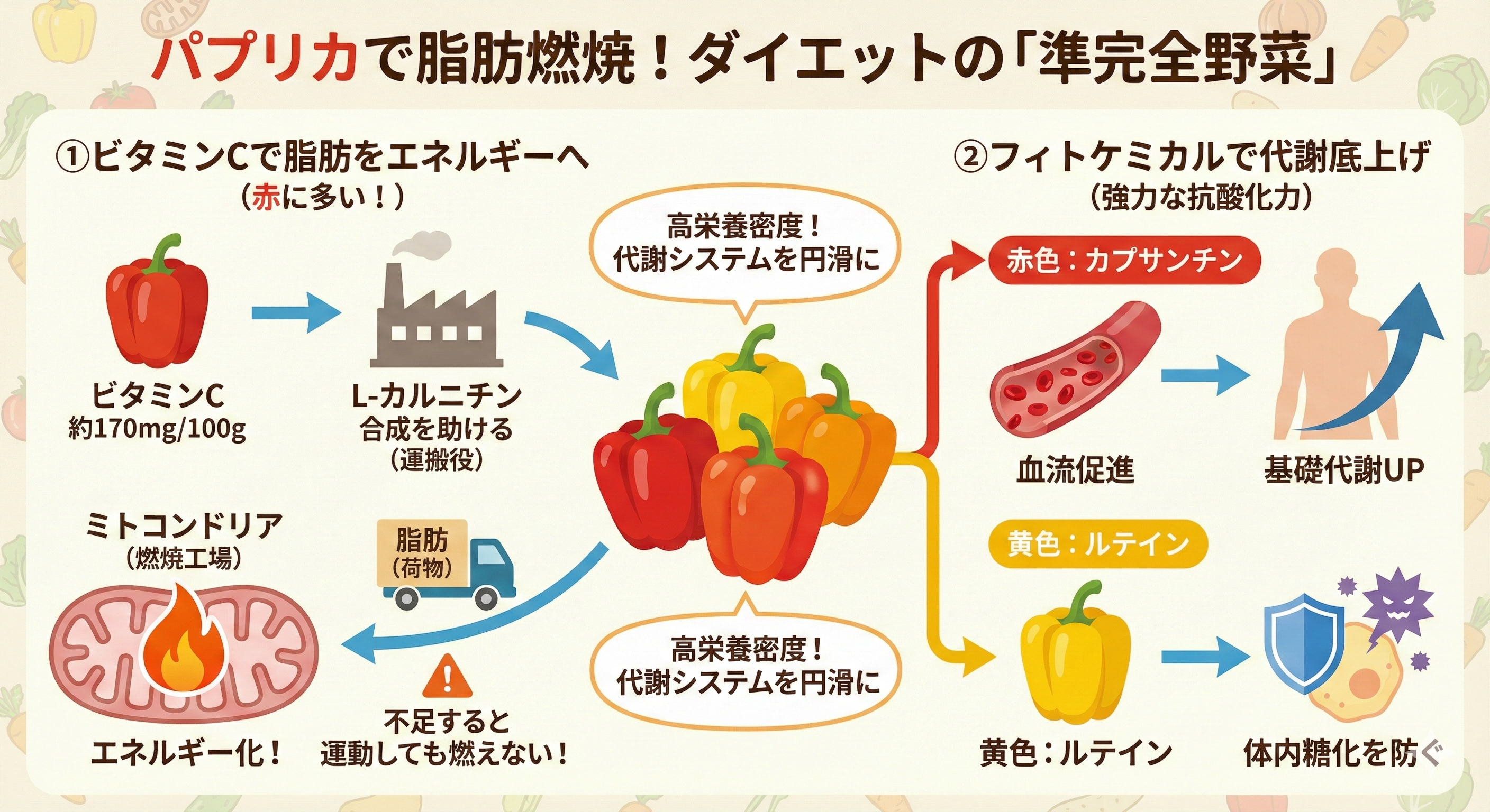 パプリカダイエットのメカニズム図解