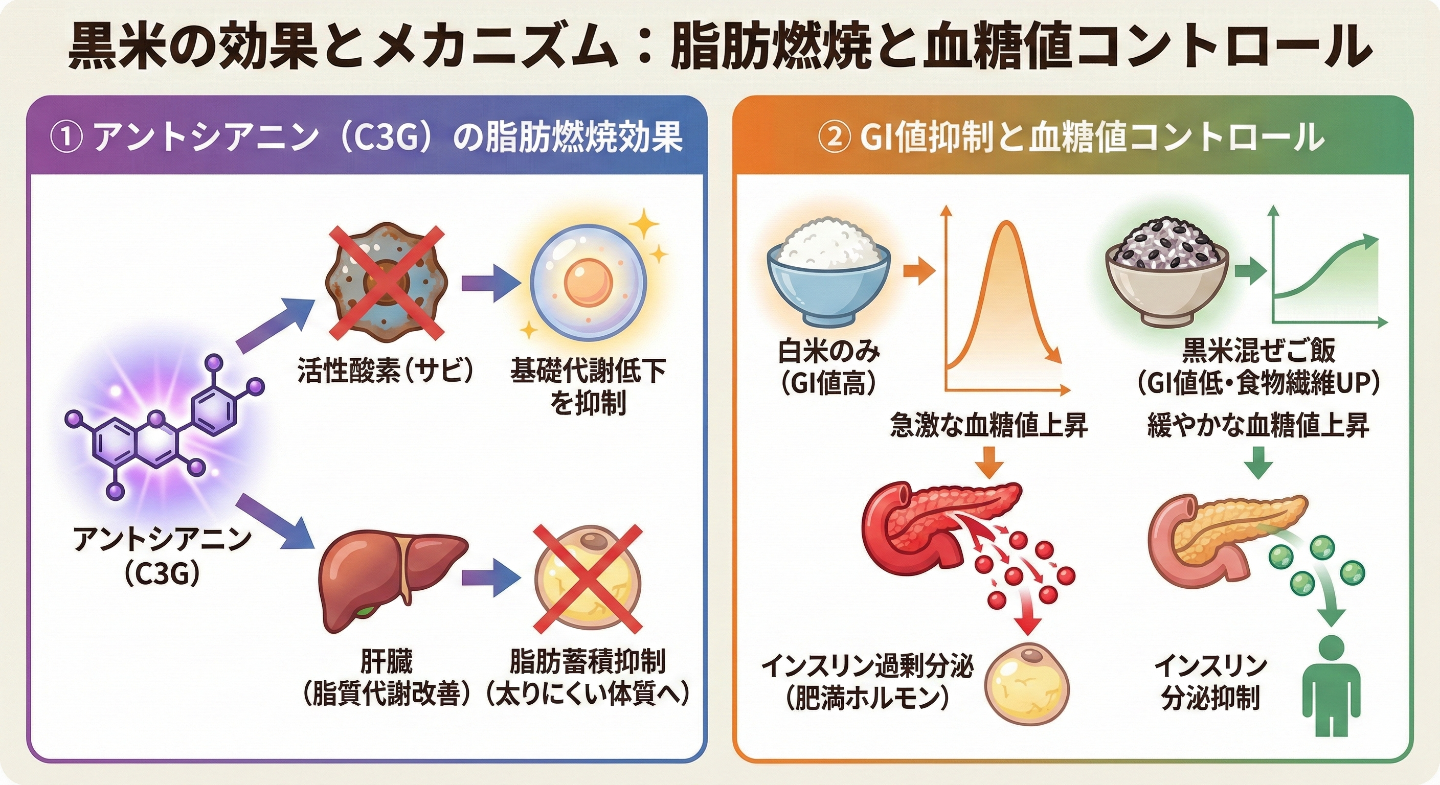 黒米の栄養成分比較グラフ