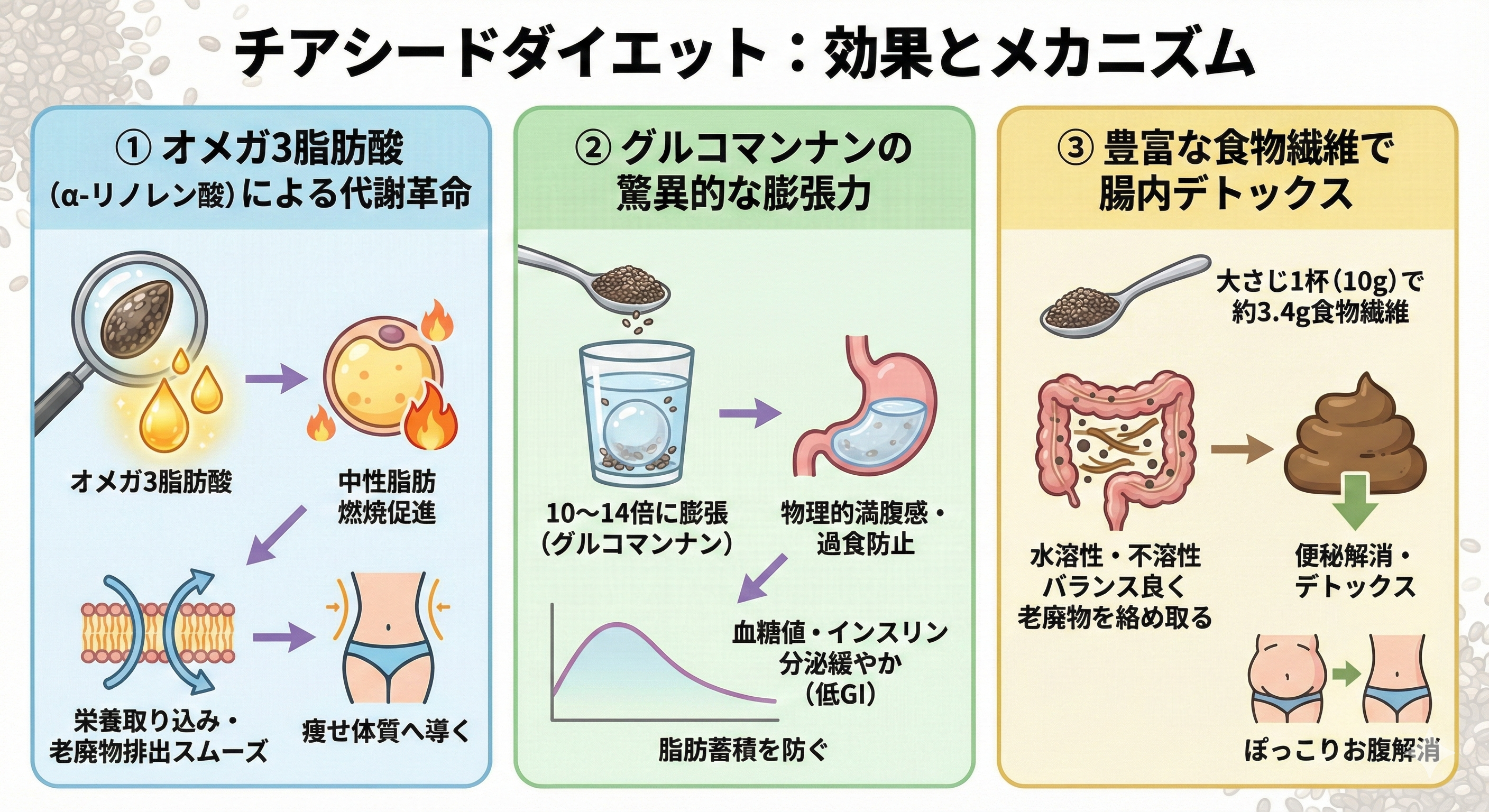 チアシードダイエットのメカニズム