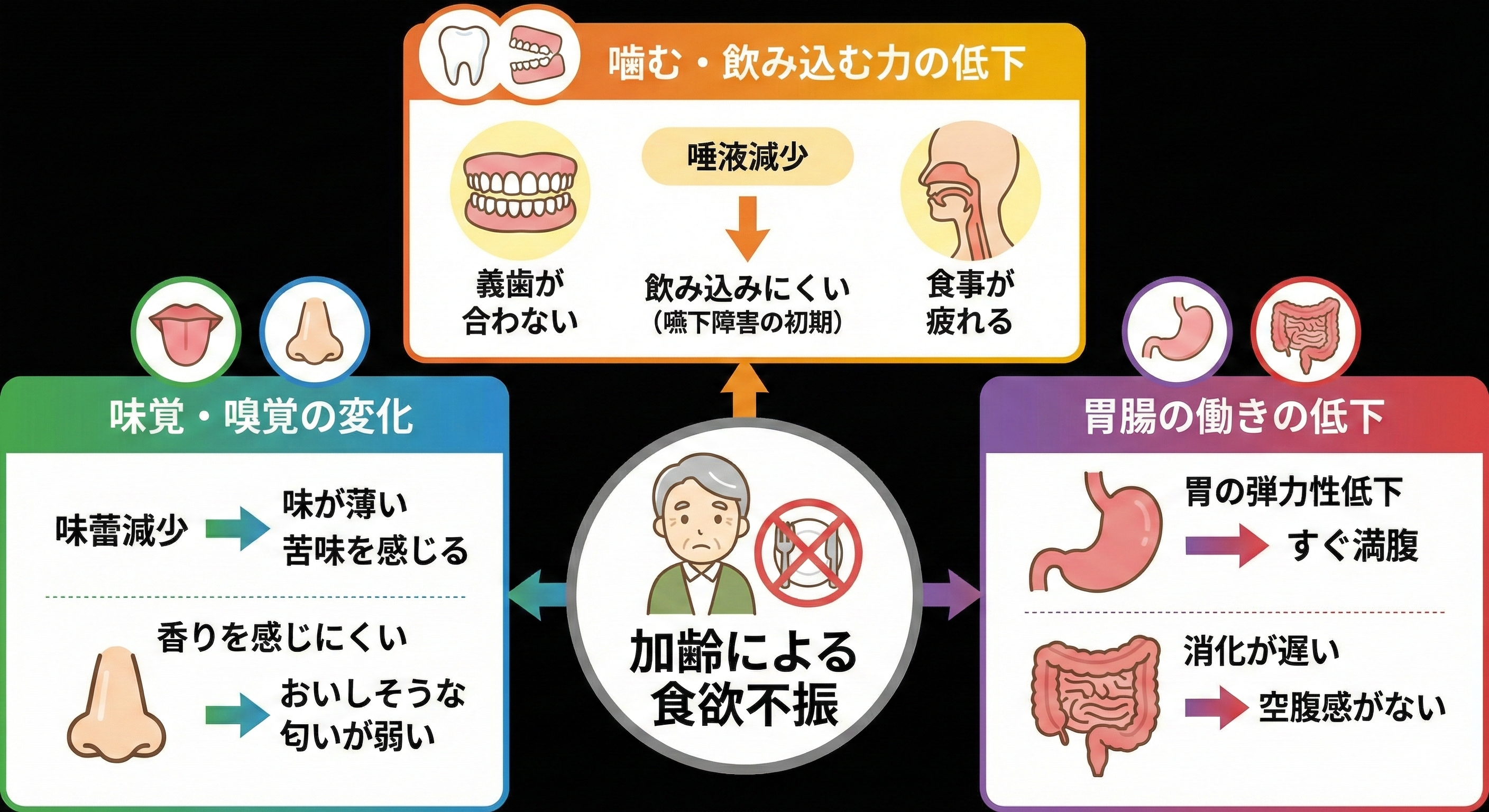 高齢者が食欲をなくしやすい主な原因