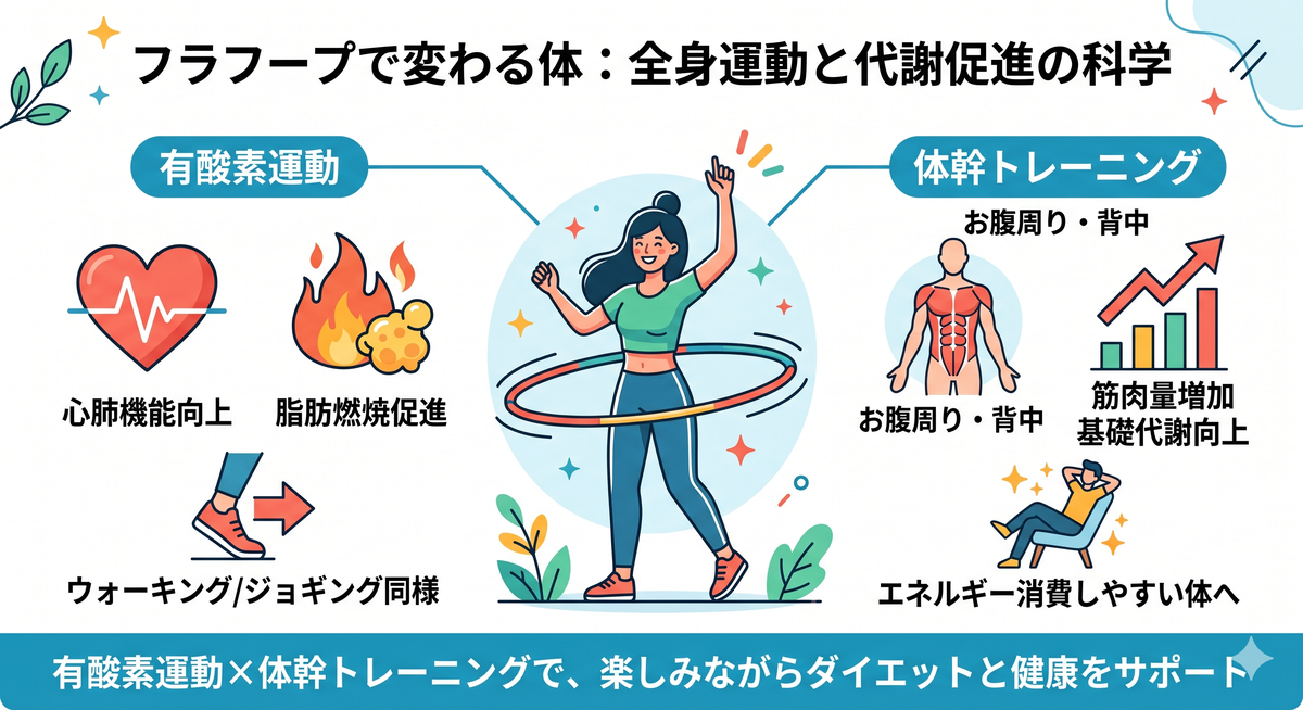 フラフープを回すことで体幹が鍛えられ、心肺機能が向上するイメージ