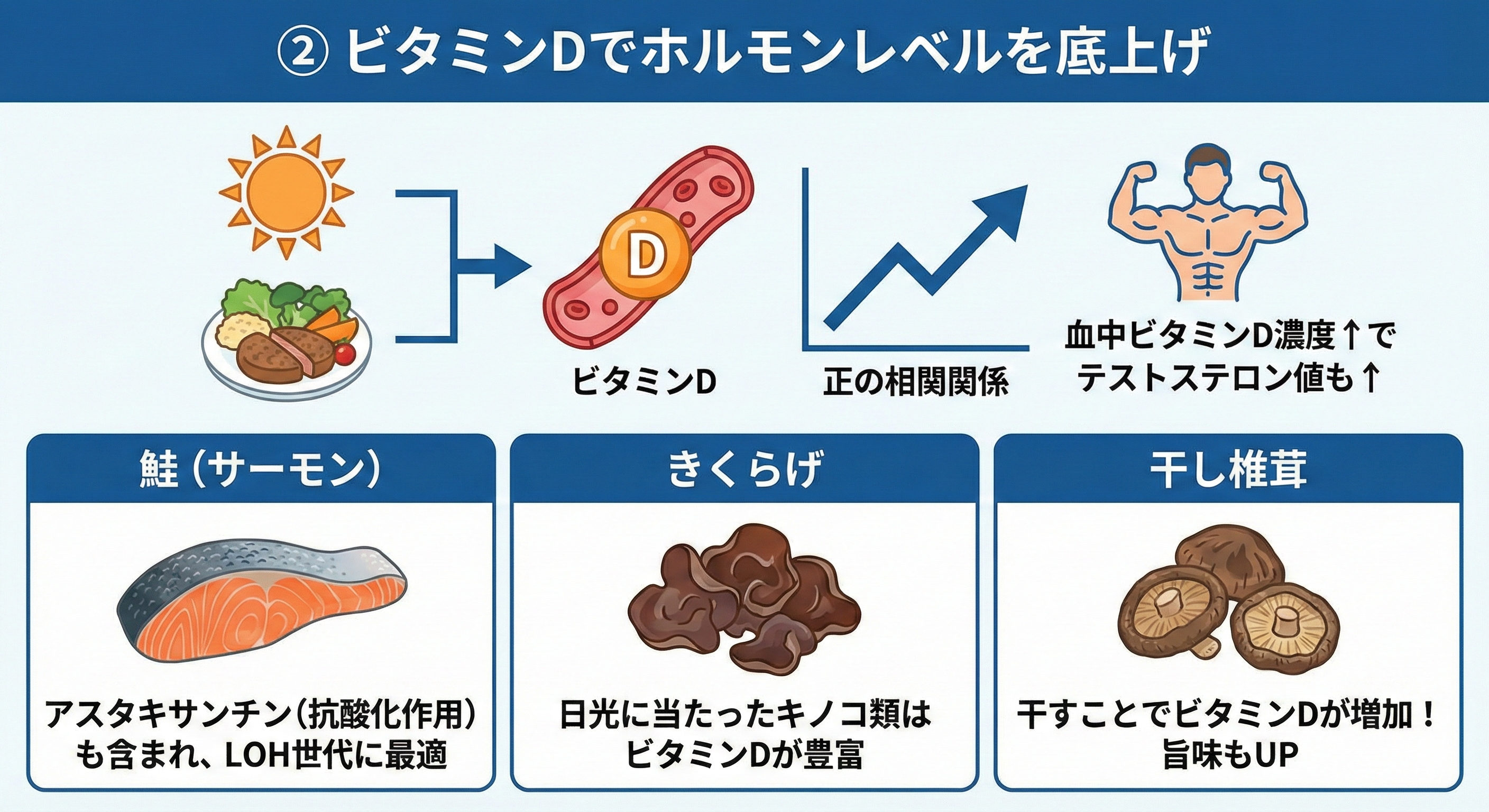 LOH症候群食事戦略②