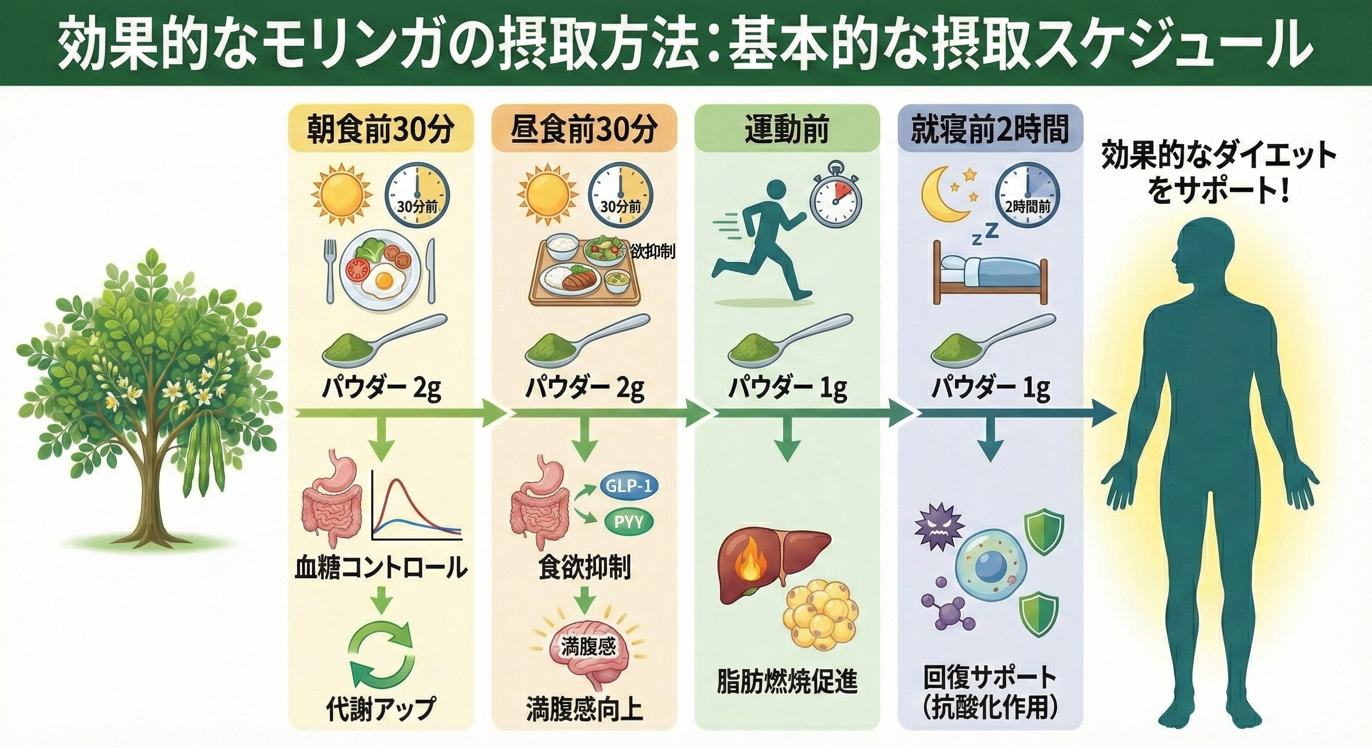 モリンガの接種方法図解