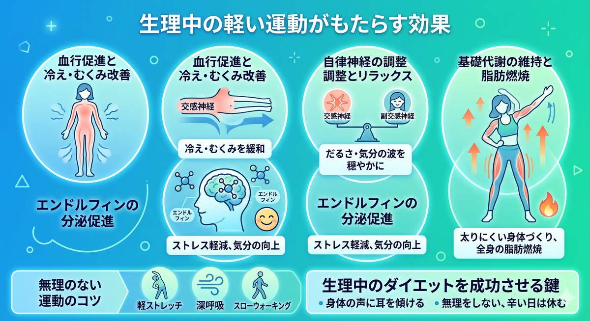 ホルモンバランスの変化を示す図と運動の関係