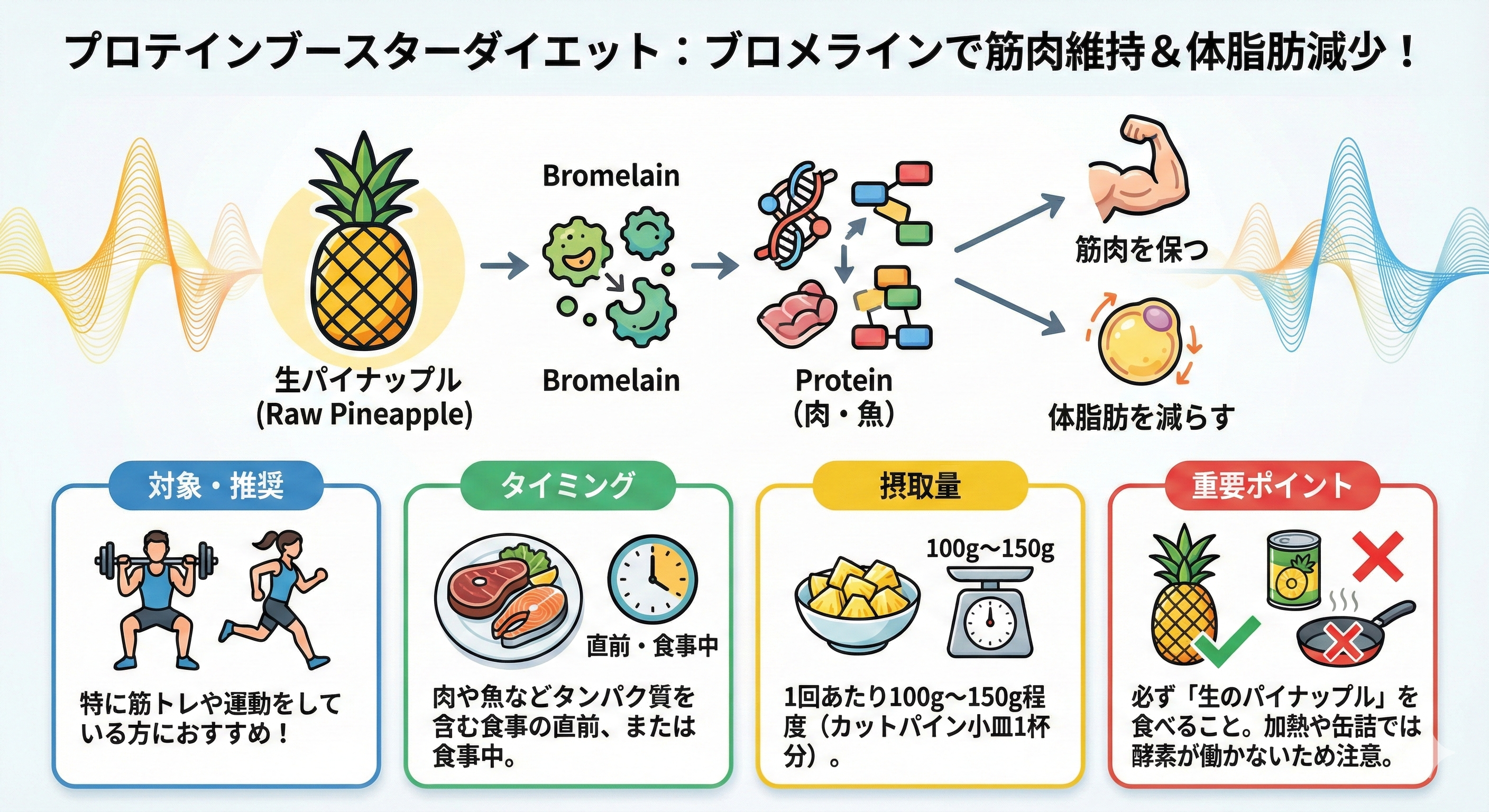 【図解】プロテインブースターダイエット図解