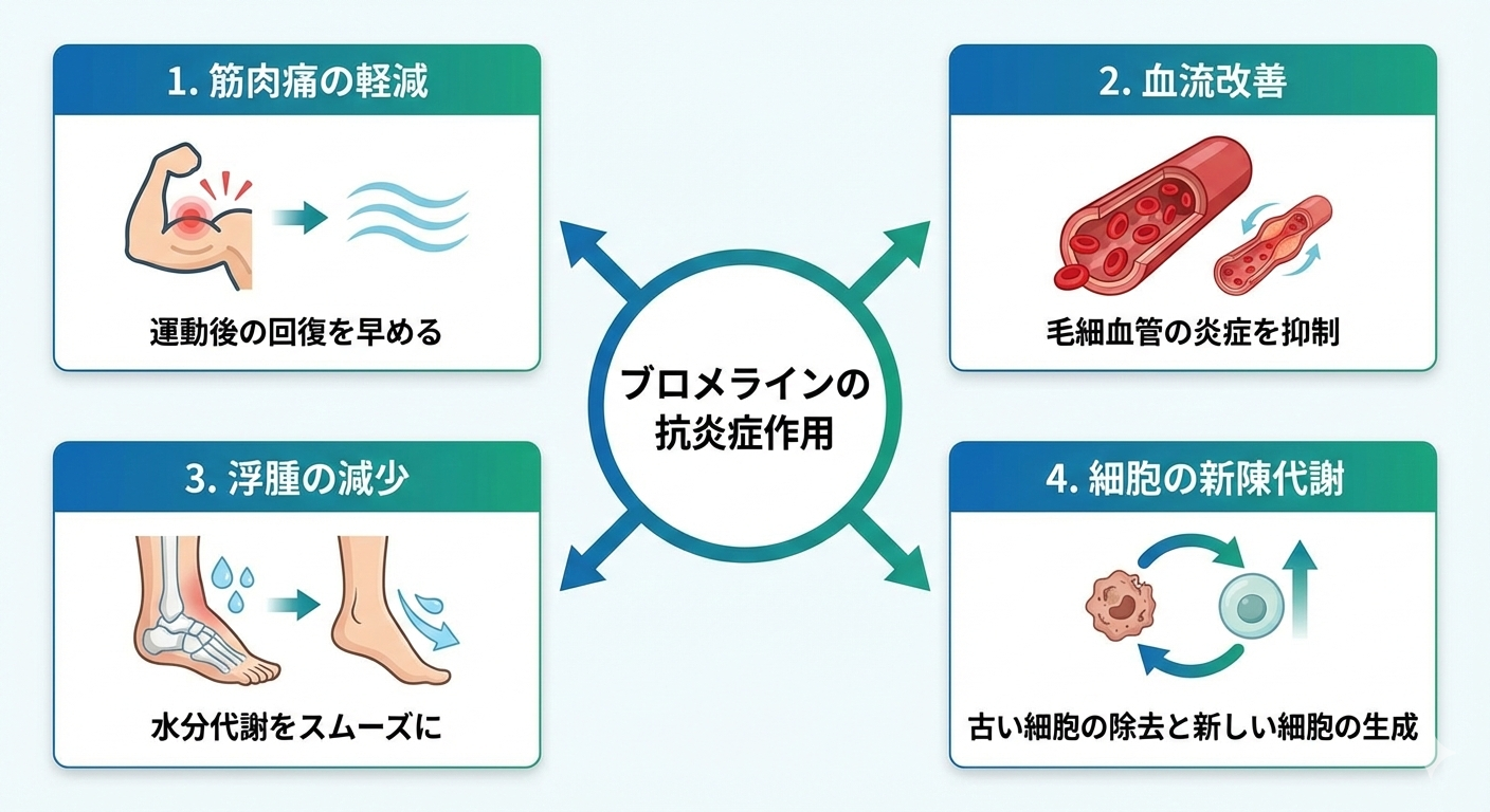 【図解】ブロメラインの効果