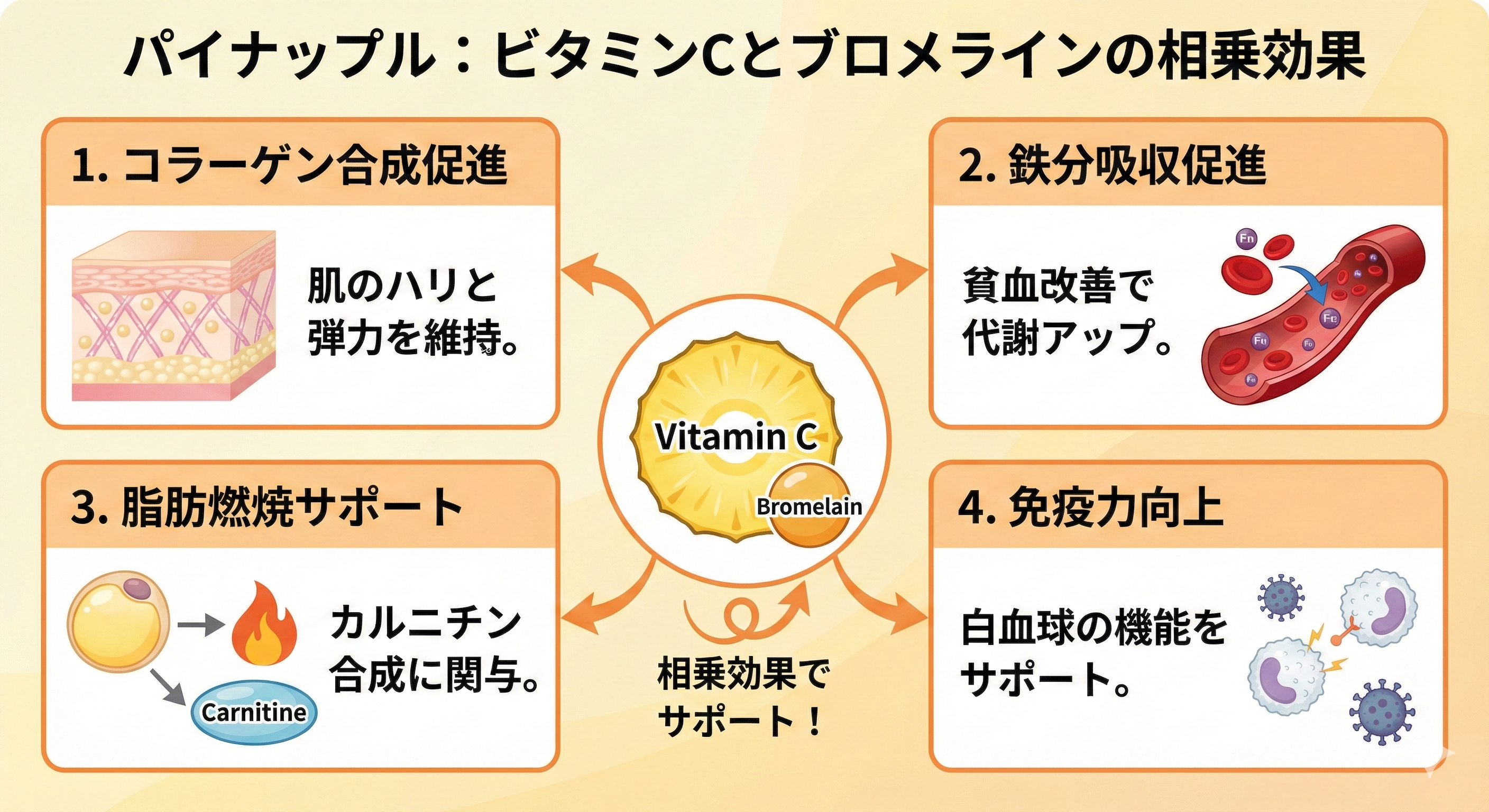 【図解】パイナップルのビタミンCのブロメラインと相乗効果