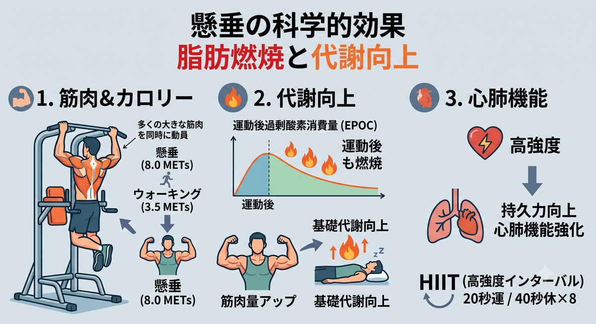 懸垂運動のイラスト