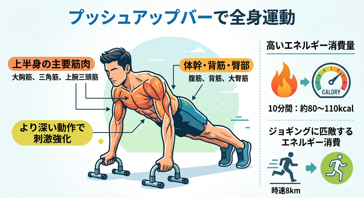 プッシュアップバーで全身運動をするイメージ