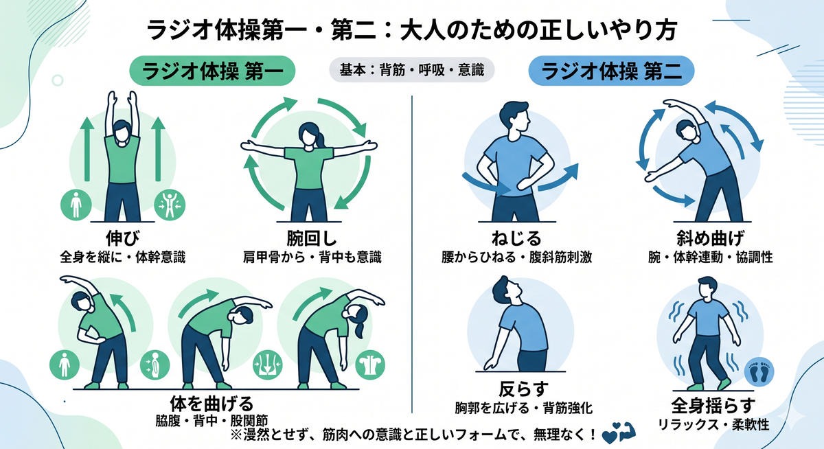 ラジオ体操の正しいフォームを説明するイメージ