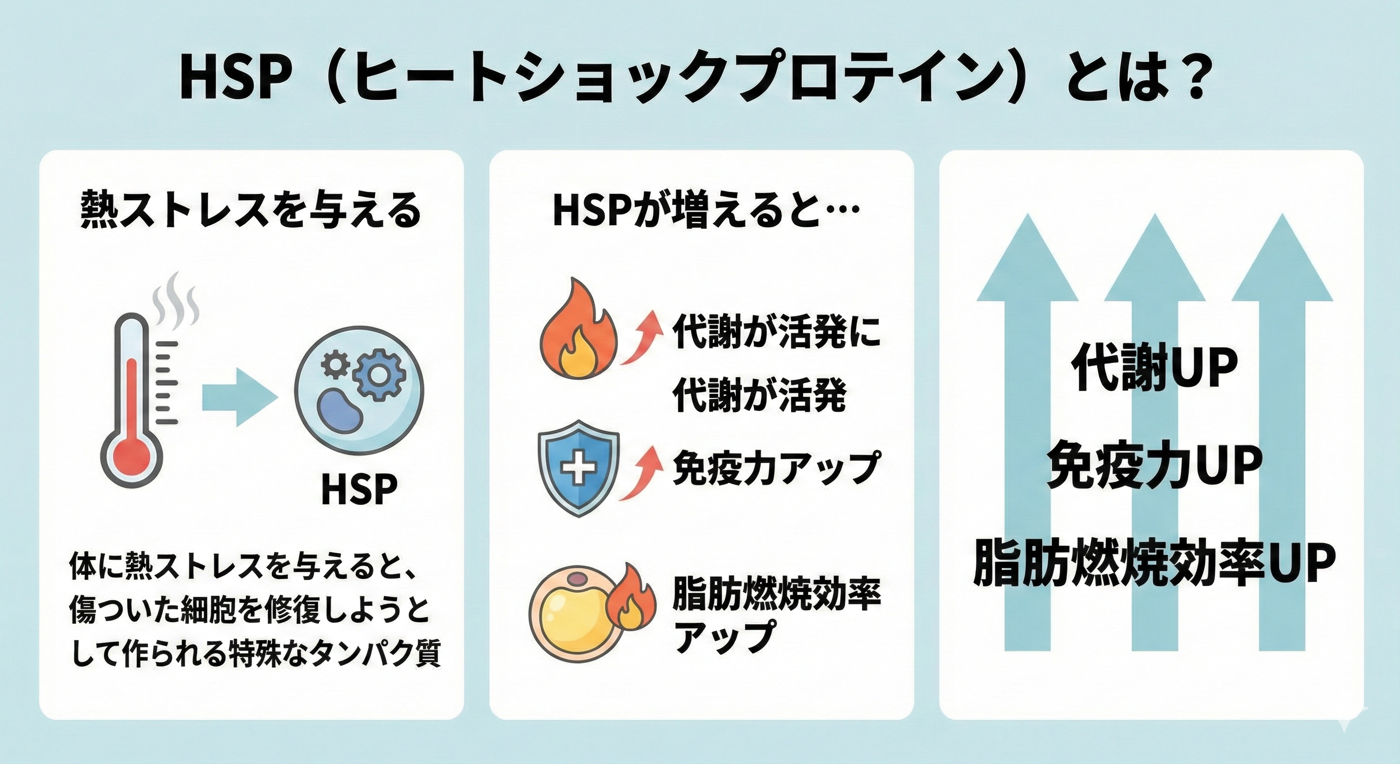 HSP（ヒートショックプロテイン）が傷ついた細胞を修復する図