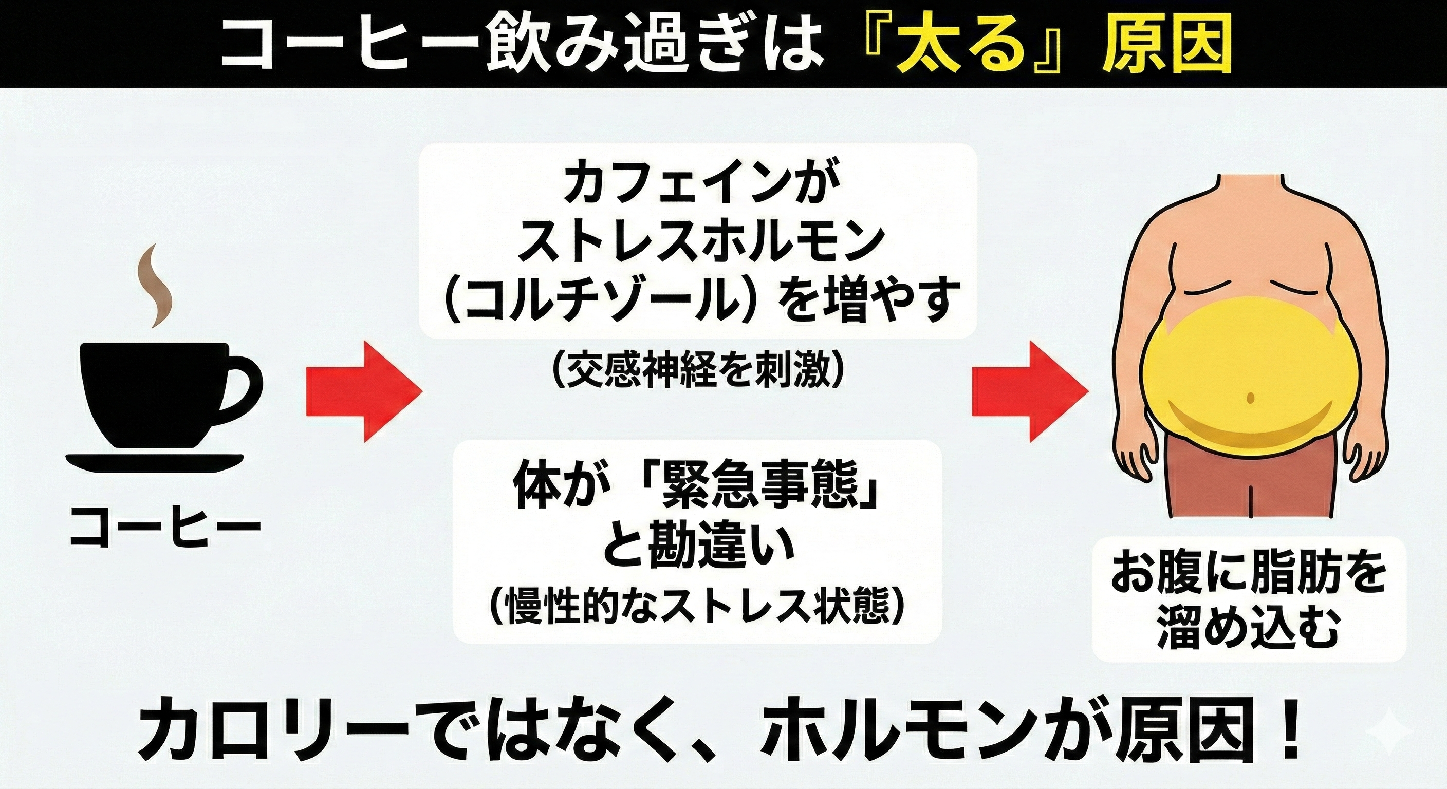 カフェインとコルチゾールの関係図