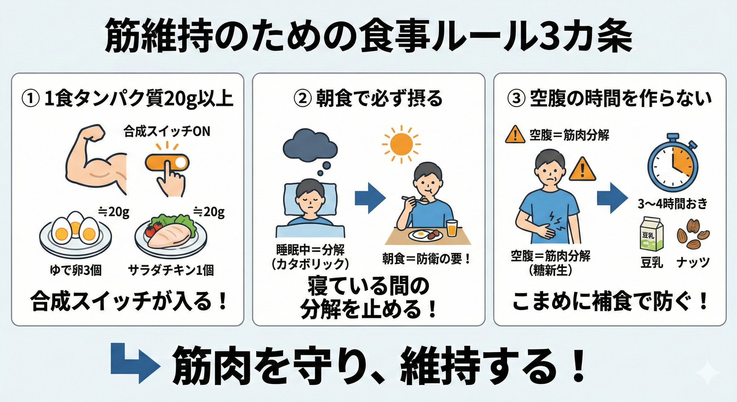 筋維持のための食事ルール図解