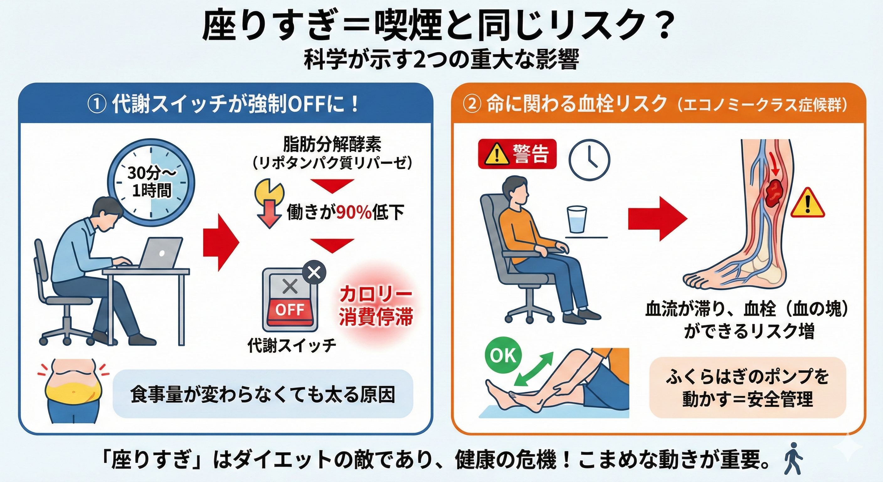 座りすぎによる血流悪化のメカニズム