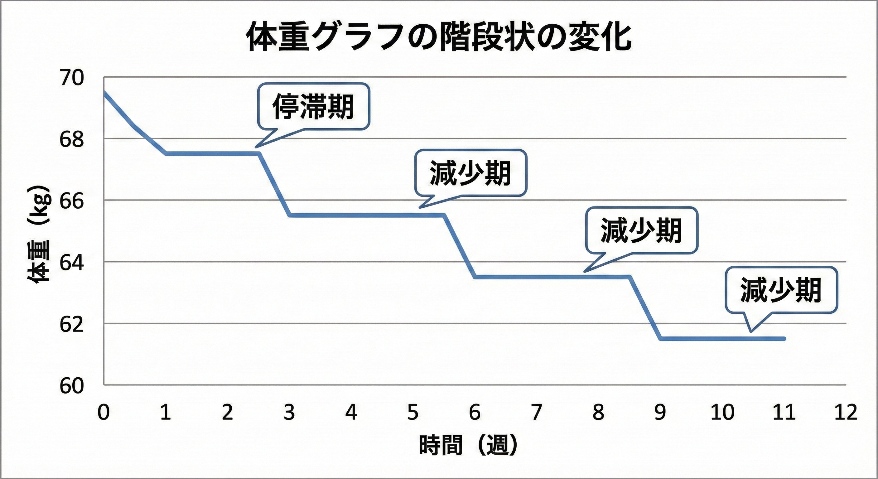 体重グラフの階段状の変化（停滞と減少の繰り返し）
