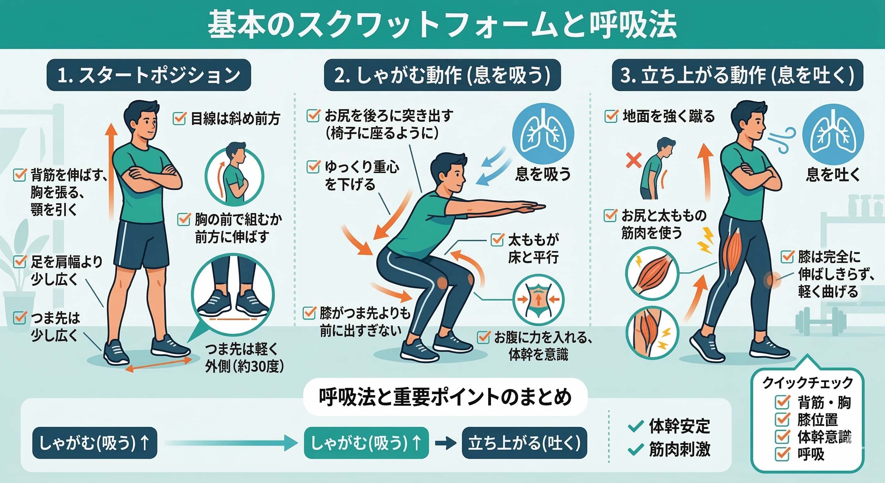 正しいスクワットフォームの解説画像