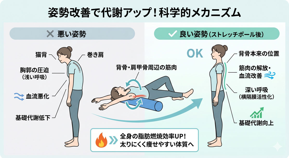 ストレッチポールで背中を伸ばす人