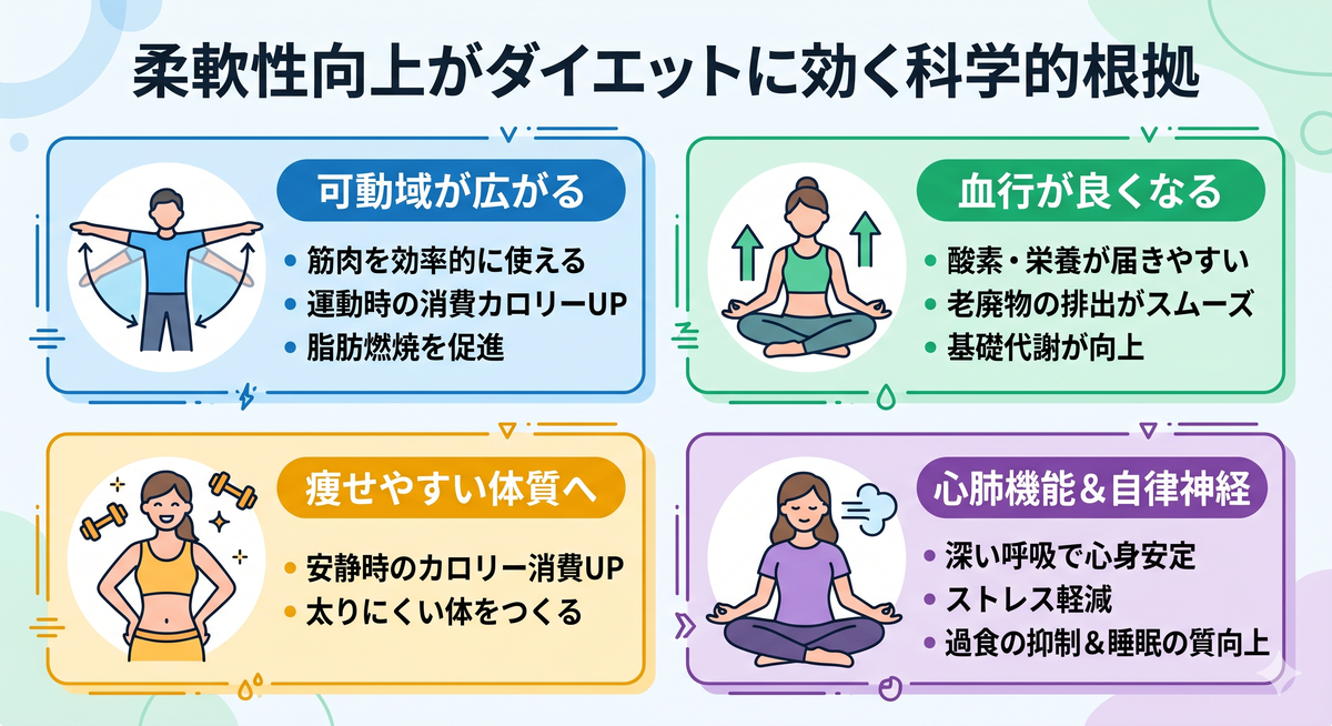 関節の可動域が広がったイメージ図