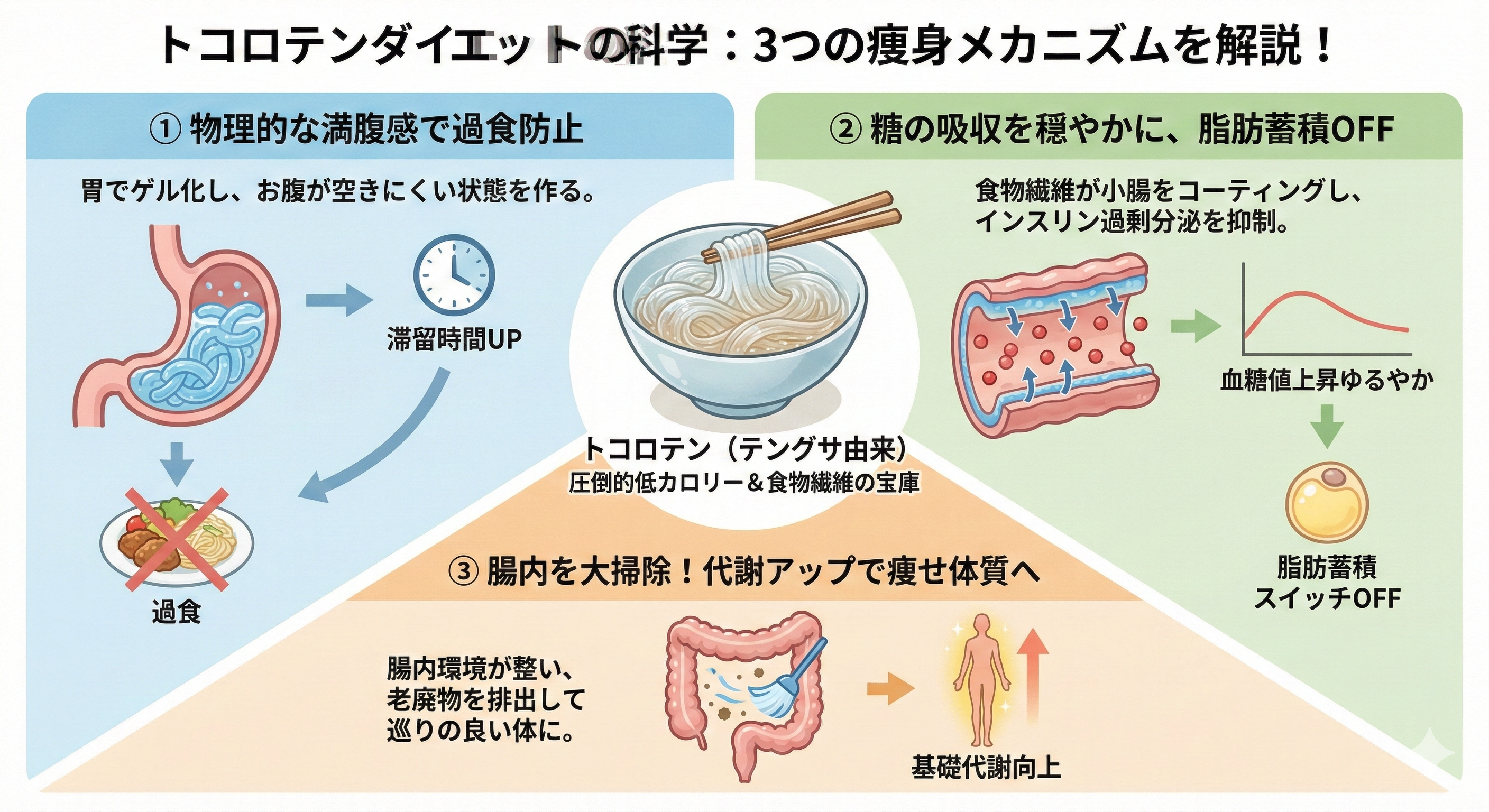 ところてんのダイエット効果図解