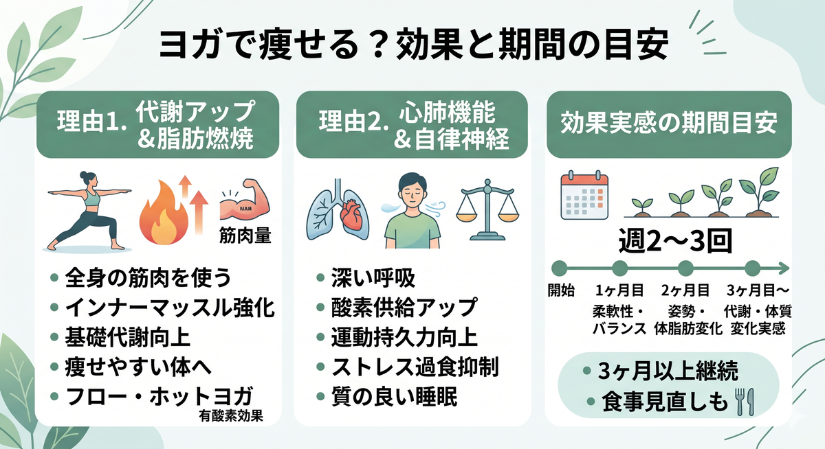 ヨガポーズをとる女性と、全身の代謝が活性化するイメージ